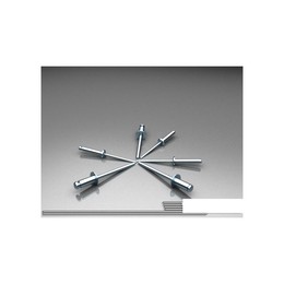 Заклепка комбинированная RCAS 4,8*10